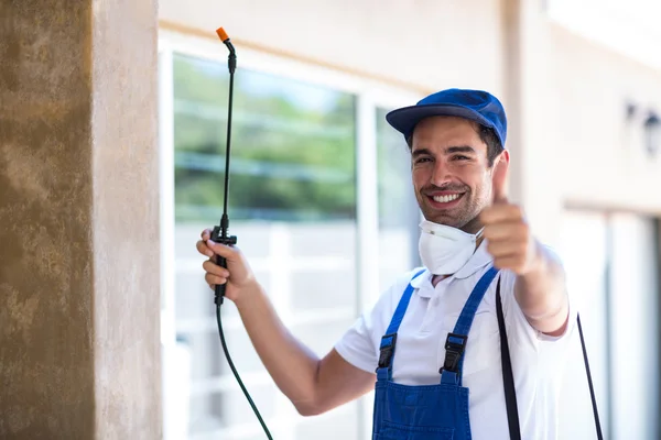 Seguin Wasp Removal