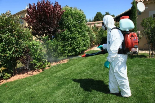 Seguin Mosquito Control