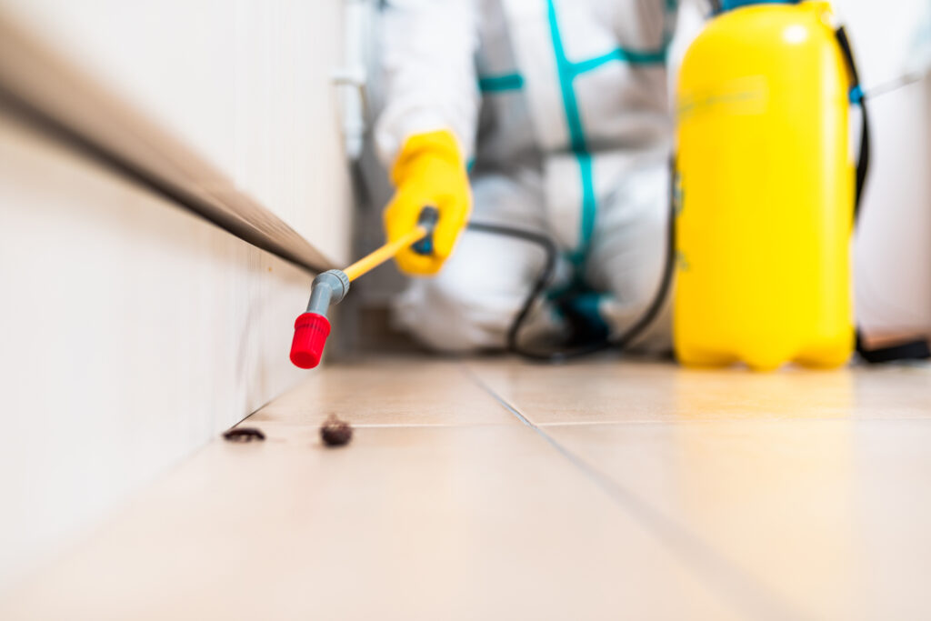 Seguin Cockroach Experts