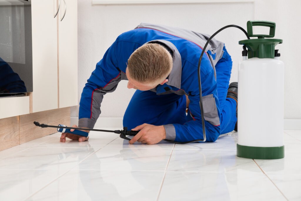 Seguin Ant Control Xperts