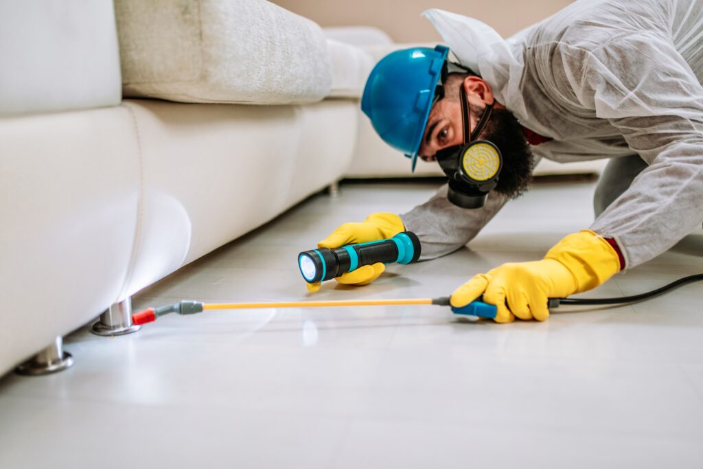 Seguin Termite Control