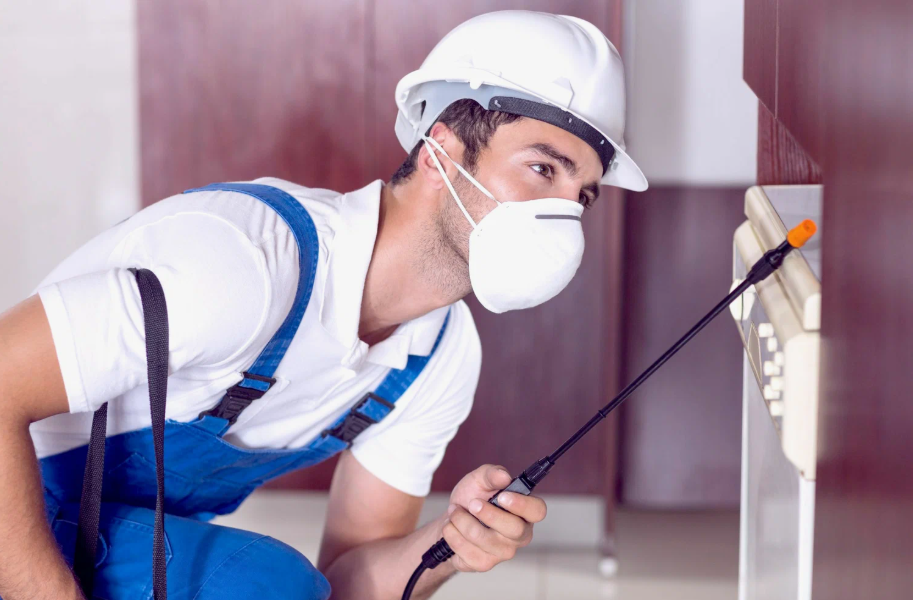 Seguin local pest services