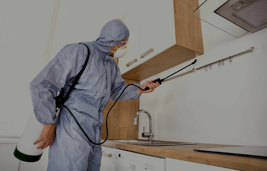 Seguin pest managment