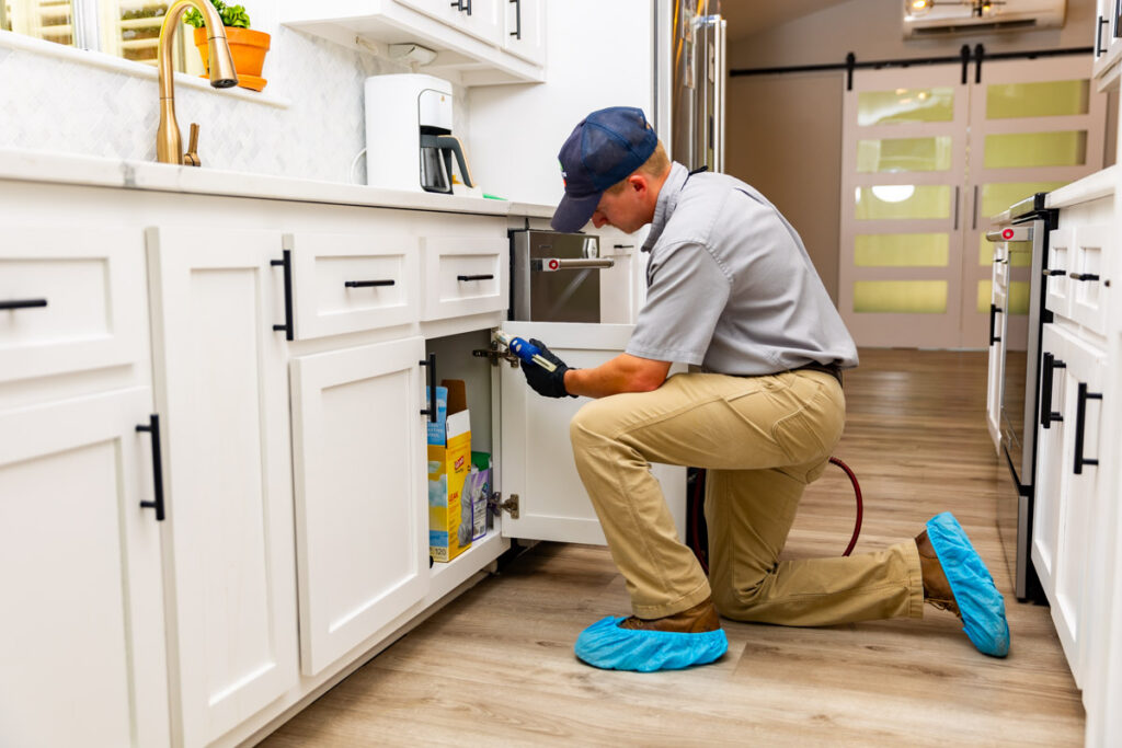 Seguin xpert pest management
